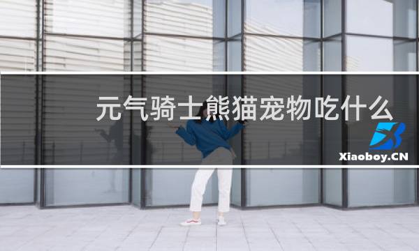 元气骑士熊猫宠物吃什么