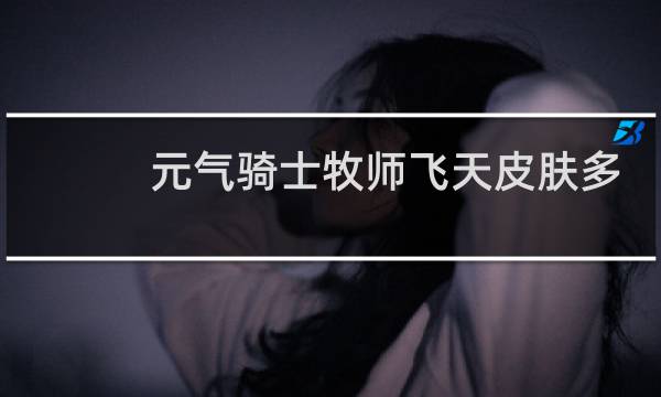 元气骑士牧师飞天皮肤多少钱