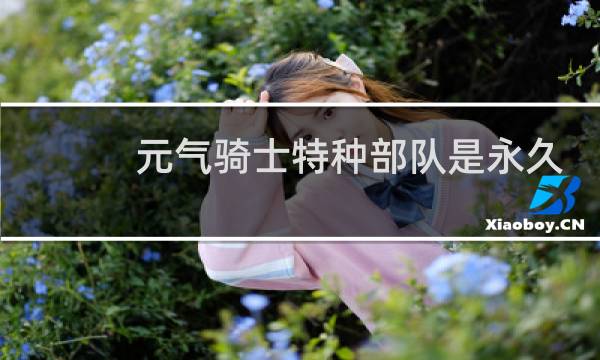 元气骑士特种部队是永久的吗