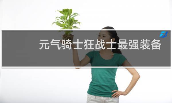 元气骑士狂战士最强装备搭配