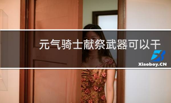 元气骑士献祭武器可以干嘛