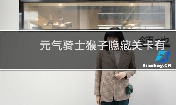 元气骑士猴子隐藏关卡有什么