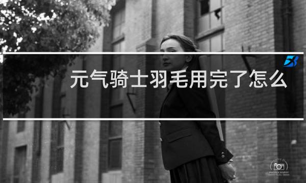 元气骑士羽毛用完了怎么办