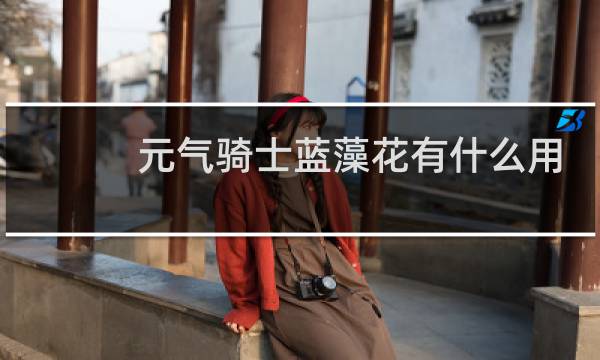 元气骑士蓝藻花有什么用