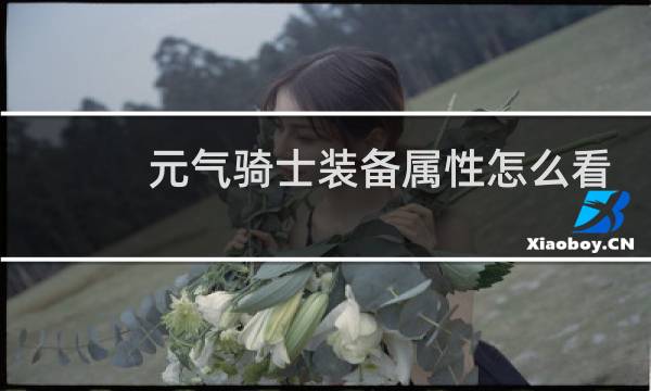 元气骑士装备属性怎么看