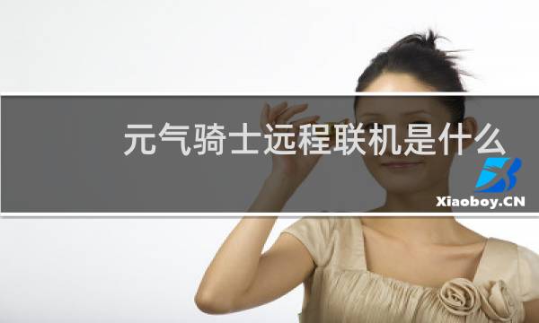 元气骑士远程联机是什么版本