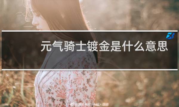 元气骑士镀金是什么意思