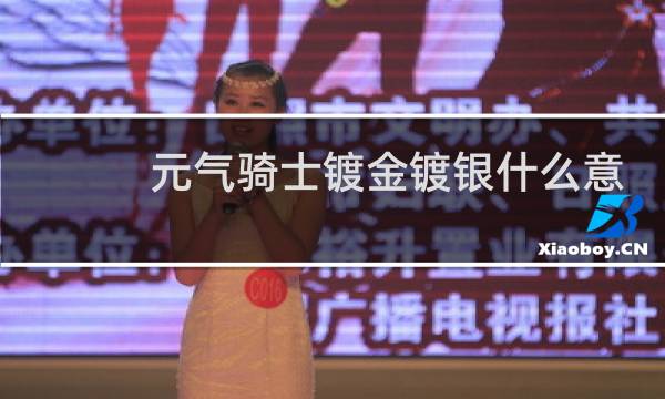 元气骑士镀金镀银什么意思