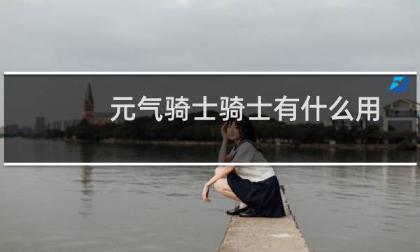 元气骑士骑士有什么用