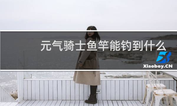 元气骑士鱼竿能钓到什么