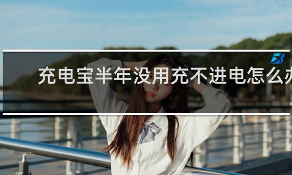 充电宝半年没用充不进电怎么办