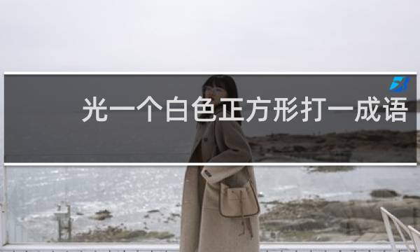 光一个白色正方形打一成语