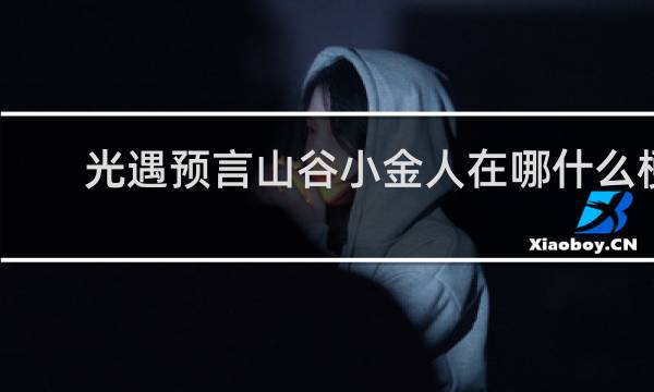 光遇预言山谷小金人在哪什么梗
