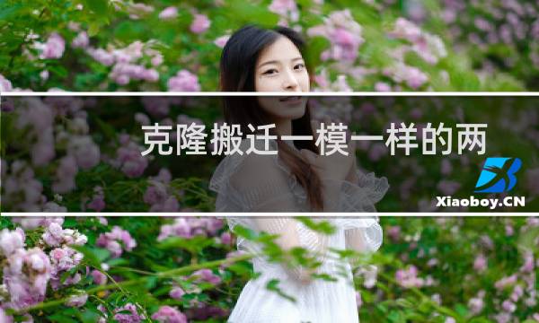 克隆搬迁一模一样的两个网站