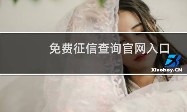 免费征信查询官网入口（查征信怎么查 个人免费查询）