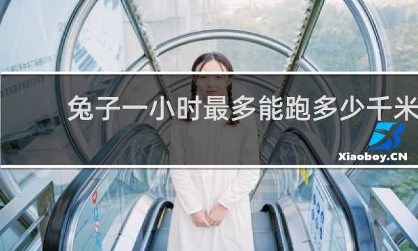 兔子一小时最多能跑多少千米