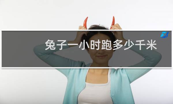 兔子一小时跑多少千米