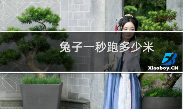 兔子一秒跑多少米