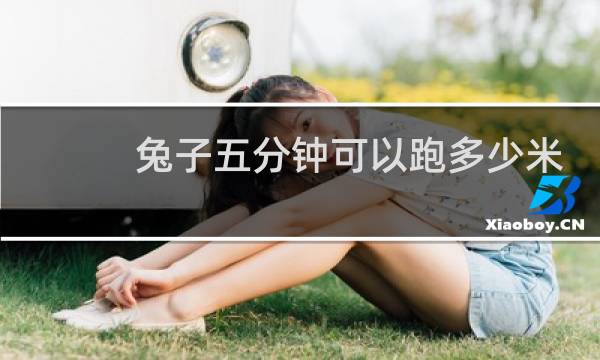 兔子五分钟可以跑多少米