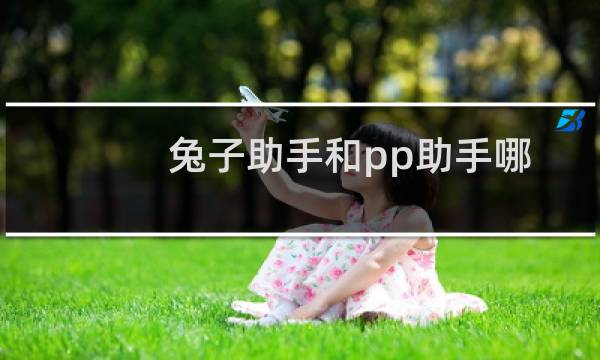 兔子助手和pp助手哪个好