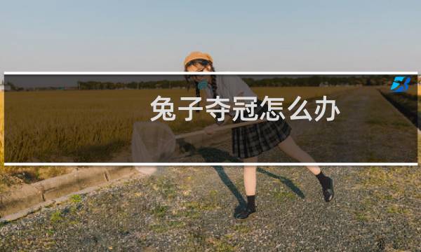 兔子夺冠怎么办