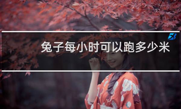 兔子每小时可以跑多少米