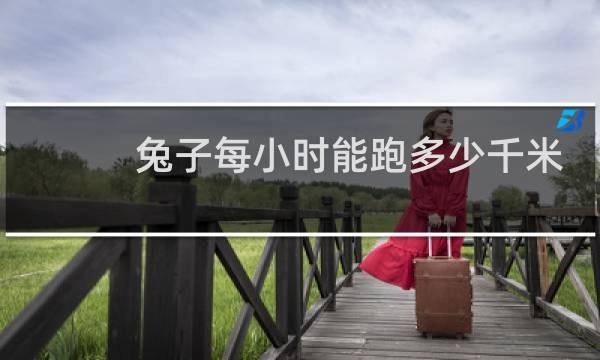 兔子每小时能跑多少千米