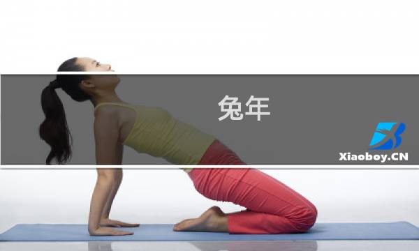 兔年：玉兔春归