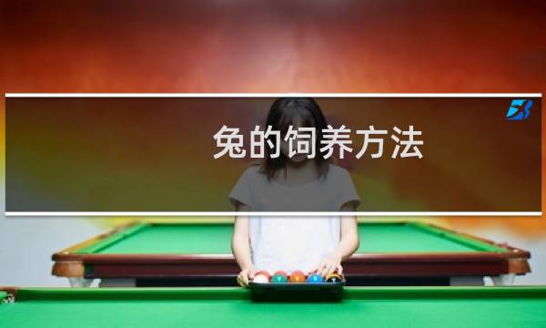 兔的饲养方法图片