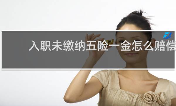 入职未缴纳五险一金怎么赔偿