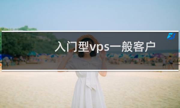 入门型vps一般客户和专业级客户有啥  别