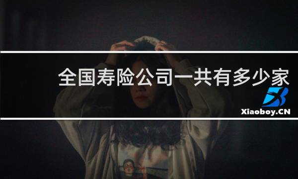 全国寿险公司一共有多少家