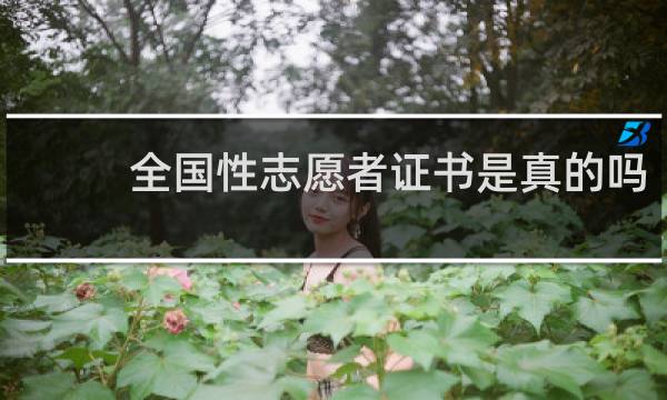 全国性志愿者证书是真的吗