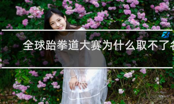 全球跆拳道大赛为什么取不了名字