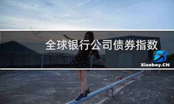 全球银行公司债券指数市盈率多少（qq邮箱格式 正确填写）图片