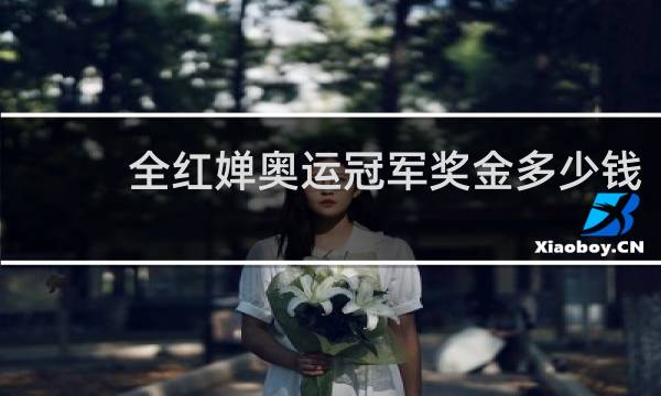 全红婵奥运冠军奖金多少钱