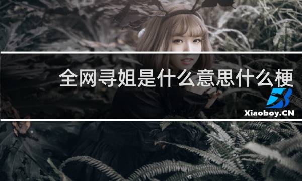 全网寻姐是什么意思什么梗