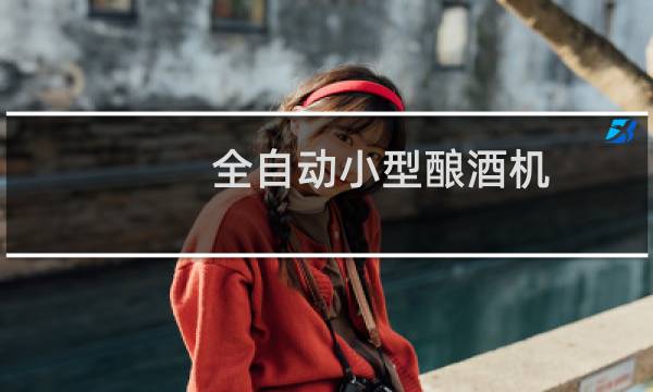 全自动小型酿酒机