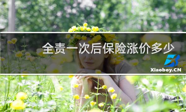 全责一次后保险涨价多少