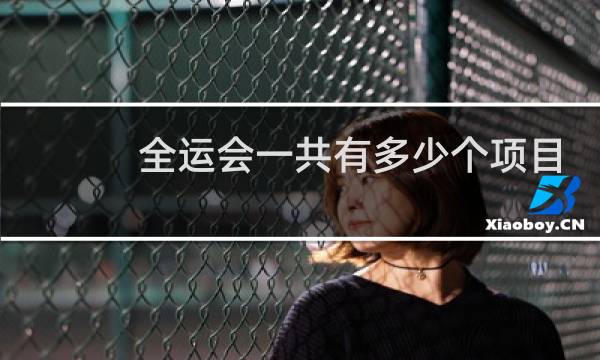 全运会一共有多少个项目