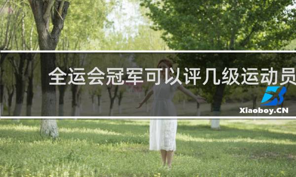 全运会冠军可以评几级运动员