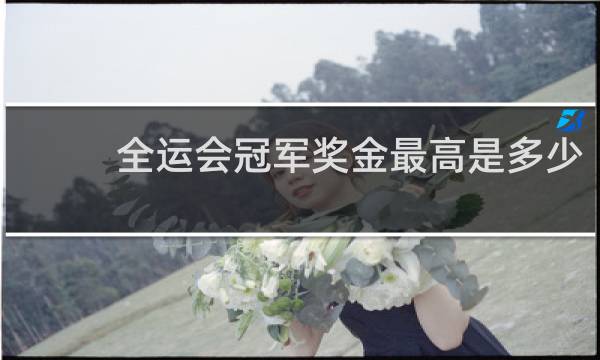 全运会冠军奖金最高是多少