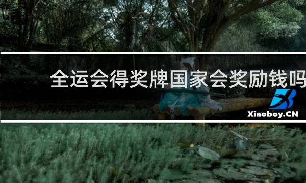 全运会得奖牌国家会奖励钱吗