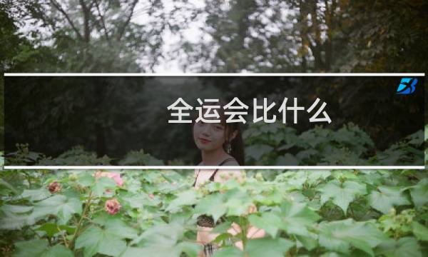 全运会比什么
