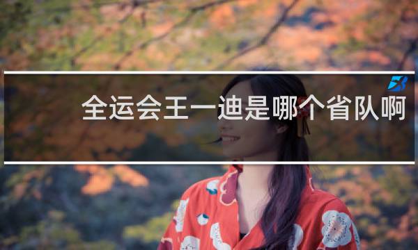 全运会王一迪是哪个省队啊