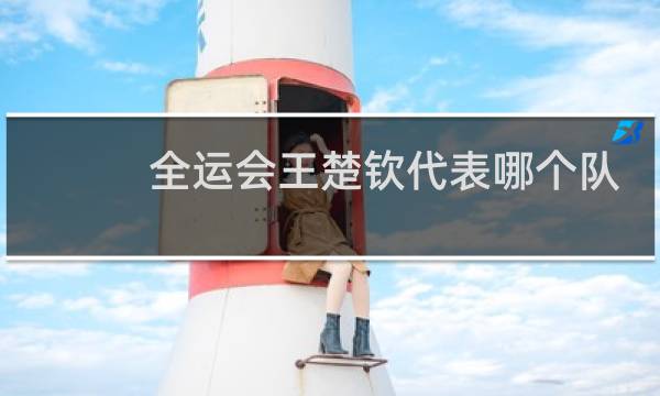 全运会王楚钦代表哪个队