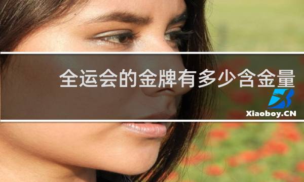 全运会的金牌有多少含金量