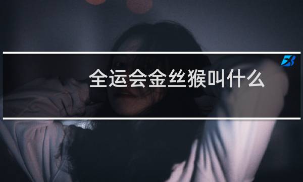 全运会金丝猴叫什么