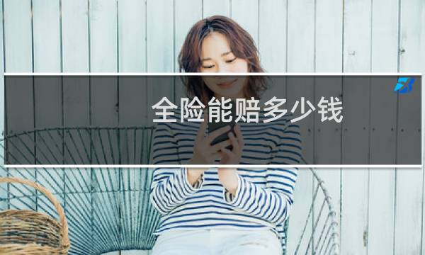 全险能赔多少钱