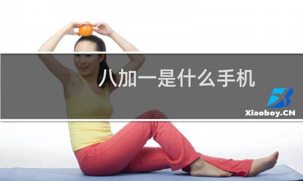 八加一是什么手机